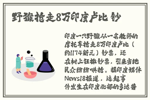 肉肉彩色不遮挡之老师